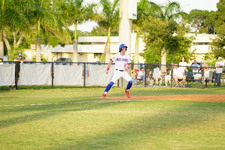 Enlarge photo 323