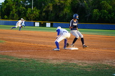 Enlarge photo 468