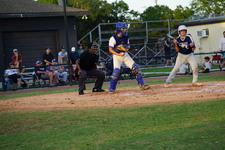 Enlarge photo 483