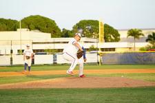 Enlarge photo 535