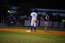 Enlarge photo 955