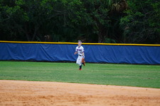 Enlarge photo 88