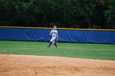 Enlarge photo 90
