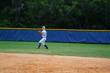 Enlarge photo 95