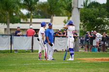 Enlarge photo 233