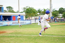 Enlarge photo 282