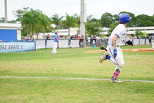 Enlarge photo 283
