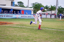 Enlarge photo 442