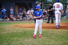 Enlarge photo 445