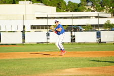 Enlarge photo 81