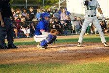 Enlarge photo 131