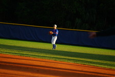 Enlarge photo 225