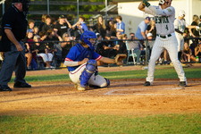 Enlarge photo 229