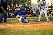 Enlarge photo 230