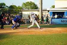 Enlarge photo 238