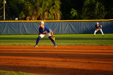 Enlarge photo 313