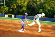 Enlarge photo 338