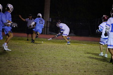 Enlarge photo 47