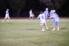 Enlarge photo 117