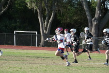 Enlarge photo 2
