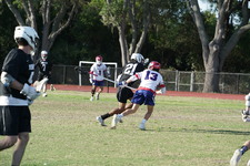 Enlarge photo 45