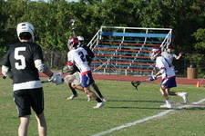 Enlarge photo 47