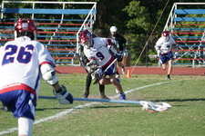 Enlarge photo 67