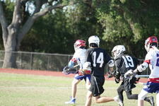 Enlarge photo 70