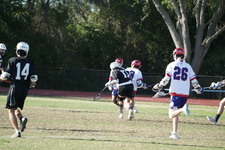Enlarge photo 73