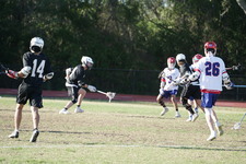 Enlarge photo 75