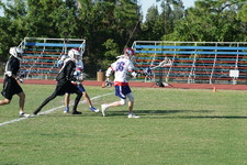 Enlarge photo 95
