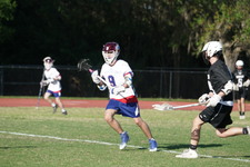 Enlarge photo 104