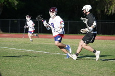 Enlarge photo 107