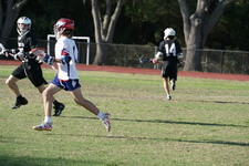 Enlarge photo 111