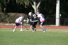 Enlarge photo 120