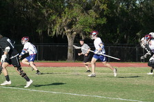 Enlarge photo 135