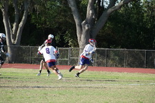 Enlarge photo 144