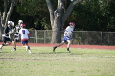 Enlarge photo 143