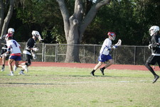 Enlarge photo 146
