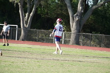 Enlarge photo 167