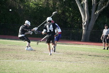 Enlarge photo 173