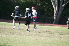 Enlarge photo 174