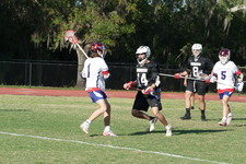 Enlarge photo 222