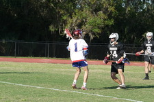 Enlarge photo 223
