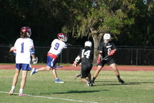 Enlarge photo 226