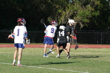 Enlarge photo 228