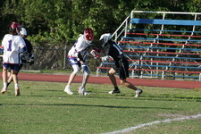 Enlarge photo 232