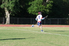 Enlarge photo 239