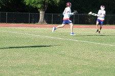 Enlarge photo 240