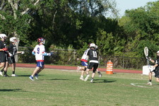 Enlarge photo 241